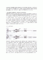 세포사멸(분자세포생물학) 3페이지