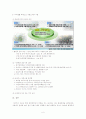 [사회복지와환경완성] 중앙정부의 환경 정책 및 실천 - 중앙정부에서는 어떤 환경사업을 하고 있는가? 5페이지