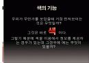 색을 말하다 5페이지