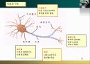  스트레스 대처과정 12페이지