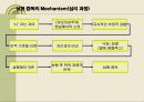 신체 변형 장애 (성형중독) 6페이지