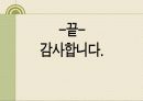 신체 변형 장애 (성형중독) 17페이지
