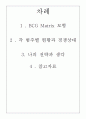[마케팅 관리] BCG매트릭스- 네이버 (Naver BCG Matrix) 2페이지