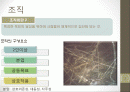 [조직개발론] 경영자원의 조직화 2페이지