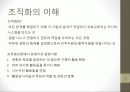[조직개발론] 경영자원의 조직화 3페이지