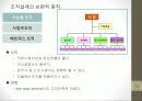 [조직개발론] 경영자원의 조직화 12페이지