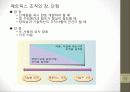 [조직개발론] 경영자원의 조직화 16페이지