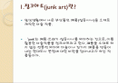 정크아트- 정크아트로 그들이 표현하고자 했던 것 - 2페이지