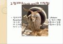정크아트- 정크아트로 그들이 표현하고자 했던 것 - 3페이지