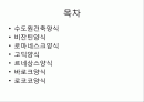 프랑스 건축[1] 2페이지
