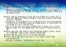 4대강 정비사업의 이모저모! 5페이지