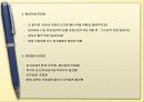 4대강 살리기 11페이지