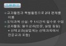 제 1, 2, 3차 교육과정 10페이지