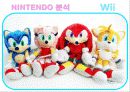 nintendo_wii 8페이지