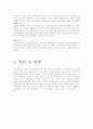 미얀마 분쟁 4페이지