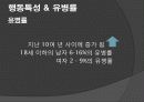 범죄의 나락으로 떨어지는 청소년 치료 5페이지