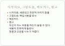프레젠테이션 준비 9페이지