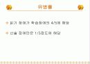 학습장애에 대하여 6페이지