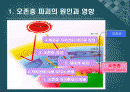 (A+ 레포트) 오존층 파괴와 몬트리올의정서 2페이지