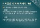 (A+ 레포트) 오존층 파괴와 몬트리올의정서 6페이지
