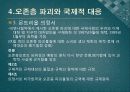 (A+ 레포트) 오존층 파괴와 몬트리올의정서 8페이지