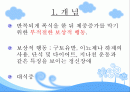 신경성 폭식증 2페이지