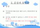 신경성 폭식증 3페이지