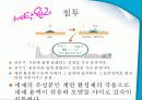 세탁의 원리 이해 7페이지