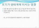 모기가 어떤 영향을 미칠까? 7페이지