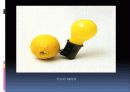 요셉 보이스(joseph beuys) 6페이지