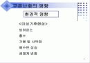 지구온난화 4페이지