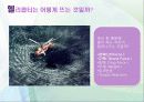 헬리콥터와  친해지기 3페이지