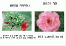 사진기법과 이론  11페이지