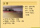 Wants 실버타운 13페이지