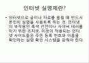 인터넷 실명제와 미네르바 3페이지
