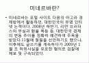 인터넷 실명제와 미네르바 4페이지