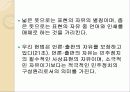 언론의 자유가 사회질서를 방해하는가? 4페이지