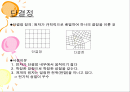 단결정 성장 공정 2페이지