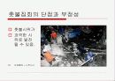 촛불집회와 상반된 입장들 8페이지