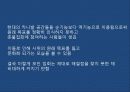 역이용된 현대의 카니발 공간으로 초점을 잃은 촛불집회  9페이지