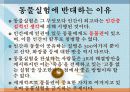 동물실험-부정적 견해 11페이지