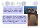 삼국유사를 읽고 7페이지
