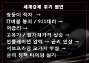 최근 세계경제 위기의 원인 2페이지