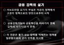 최근 세계경제 위기의 원인 13페이지