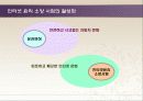 사이버문화와 윤리 13페이지