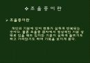 웃었다 울었다  조울증 3페이지