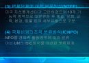NGO에 대해서 13페이지