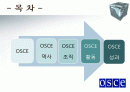 OSCE 유럽안보협력기구 2페이지