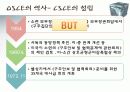 OSCE 유럽안보협력기구 5페이지