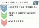 OSCE 유럽안보협력기구 6페이지